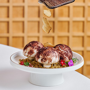 日本限定 Conrad | Peony Golden Singapore Bay Marina クマ一般